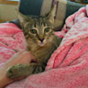 Meet your Posher, Lori